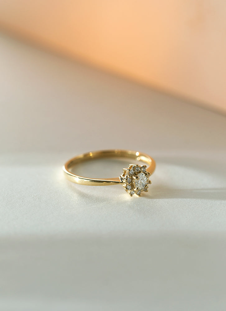 bezorgdheid Graf Bungalow Triss halo diamant ring 14k goud – Studio Kroewe