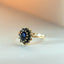 Kate black diamond entourage ring 14k gold