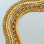Sady rolex 5mm bracelet 14k gold