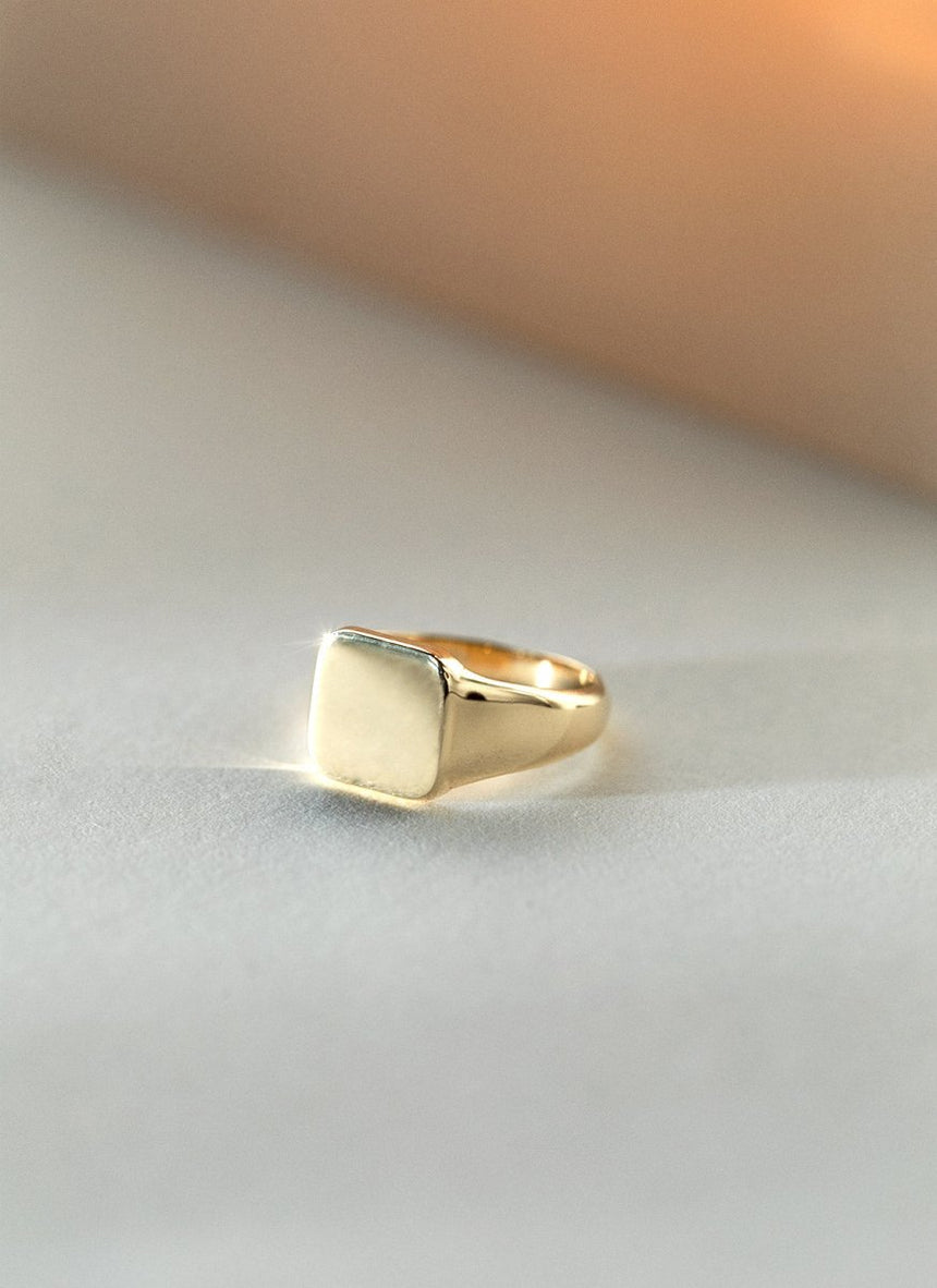 Birdie signet ring 14k gold - Studio Kroewe