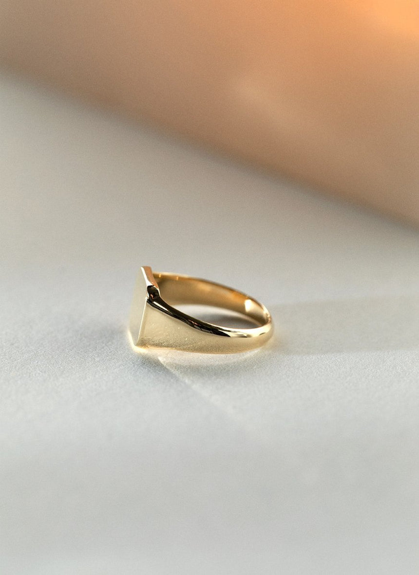Birdie signet ring 14k gold - Studio Kroewe