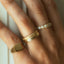Birdie signet ring 14k gold - Studio Kroewe