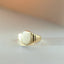 Goldie signet ring 14k gold - Studio Kroewe