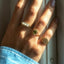 Goldie signet ring 14k gold - Studio Kroewe