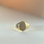 Goldie signet ring 14k gold - Studio Kroewe