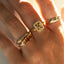 Lexy signet ring 14k gold - Studio Kroewe