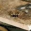 Max smoky quartz ring 14k gold - Studio Kroewe