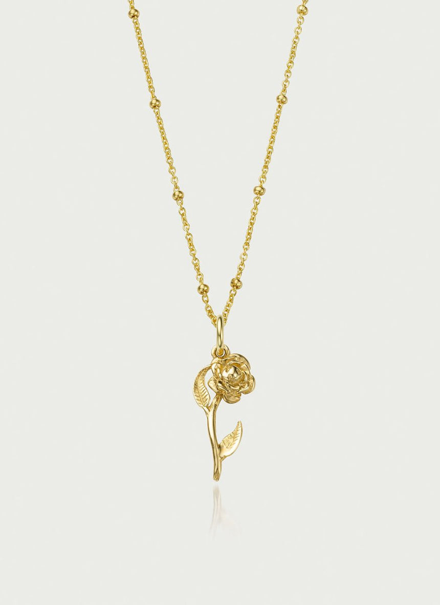 Prim twisted earrings 14k gold - Studio Kroewe