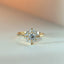 Violet brilliant cut entourage diamond ring 14k gold - Studio Kroewe