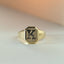 Woody signet ring 14k gold - Studio Kroewe