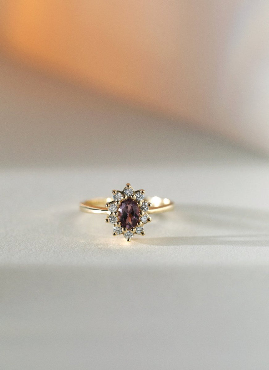 Yoki diamond rhodolite entourage ring 14k gold - Studio Kroewe