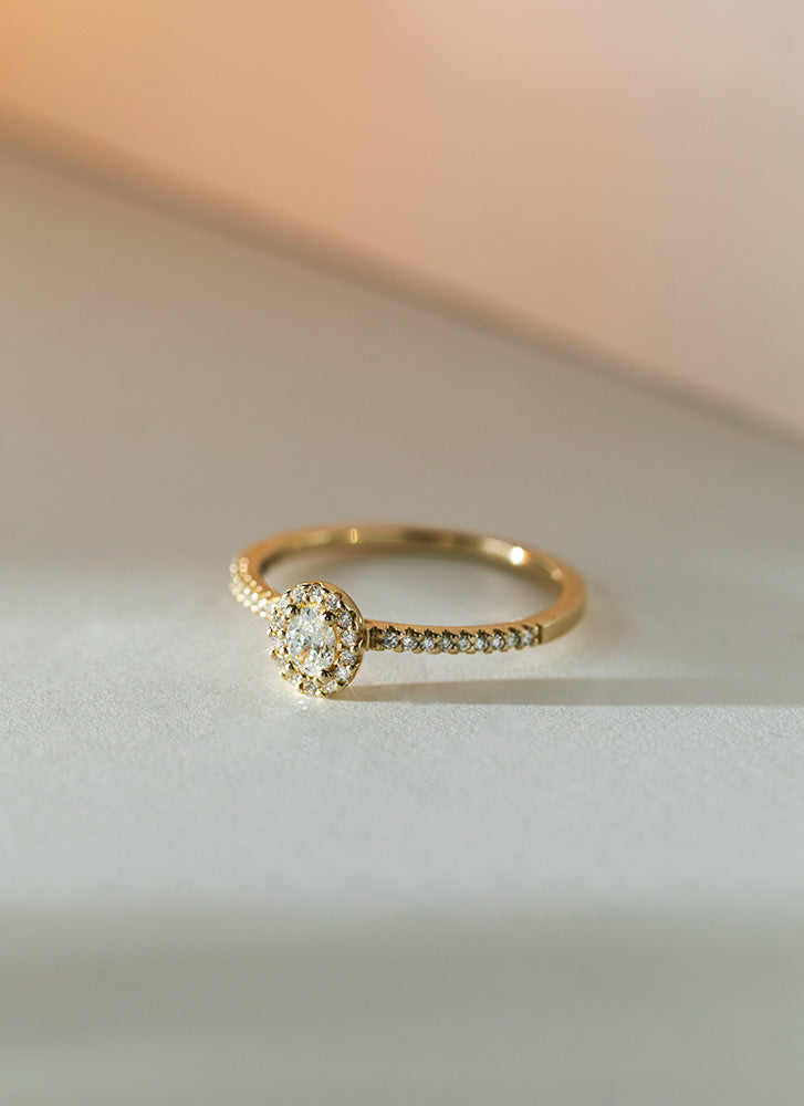 Caes halo diamant ring 14k goud
