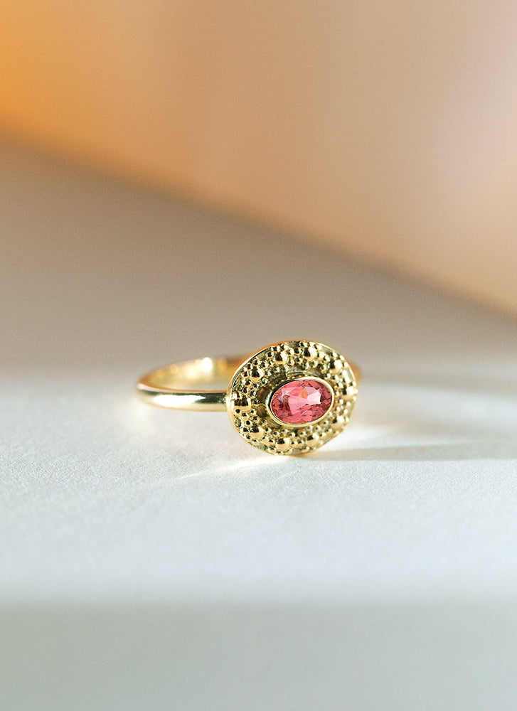 Caes granaat januari birthstone ring 14k goud