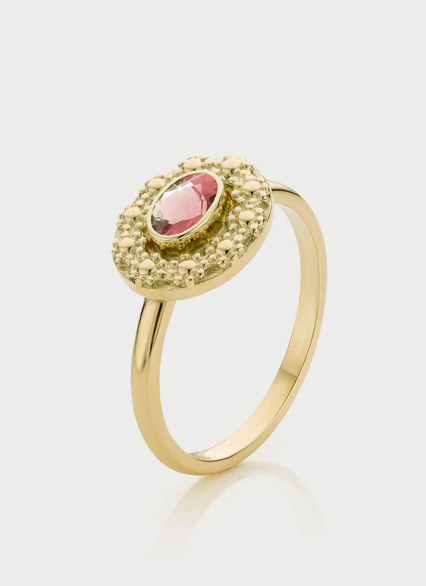 Caes granaat januari birthstone ring 14k goud