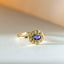 Cami tanzaniet december birthstone ring 14k goud