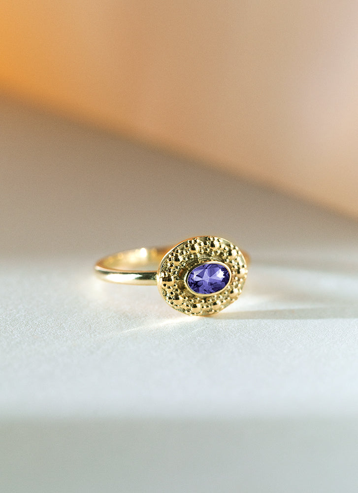 Caes granaat januari birthstone ring 14k goud