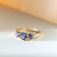 Frida tanzanite ring 14k gold