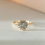 Hera entourage diamond ring 14k gold
