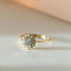 Hera diamanten entourage ring 14k goud