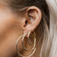 Logan hoop earrings 14k gold