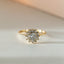 Hera entourage diamond ring 14k gold - Studio Kroewe