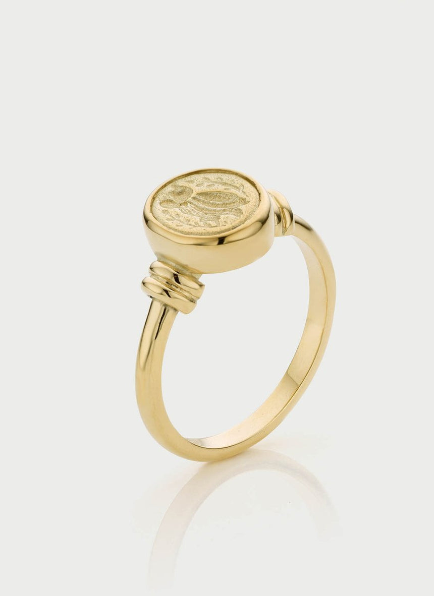Kitt signet ring 14k gold - Studio Kroewe