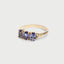 Max tanzanite ring 14k gold - Studio Kroewe